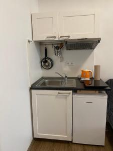 Kuchyňa alebo kuchynka v ubytovaní Žižkov Cosy Studio Apartments