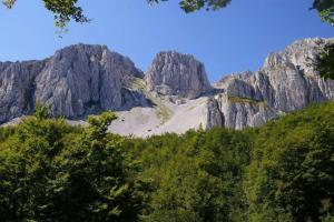 Naturlandskabet i nærheden af lejligheden