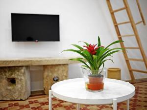 a potted plant sitting on a white table in a room at La Dolce Lidia / Casa in Salento vicino al mare in Spongano