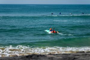 入住Sky's Surf Hostel的客人