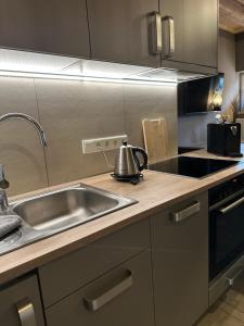 a kitchen with a sink and a tea kettle on the counter at Ferienwohnung Bussjans Hof in Dinklage