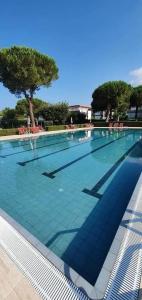 a large swimming pool with blue water and trees at Bilocale Climatizzato Mare Blu in Marina di Bibbona