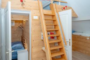 a ladder leading up to a bunk bed in a tiny house at Chalet Koch in Saint-Pierre-de-Chartreuse