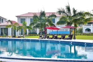 Bazén v ubytování Resort Titli nebo v jeho okolí