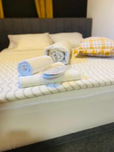 Postel nebo postele na pokoji v ubytování Rooms & Apartment ZALA Airport shuttle option