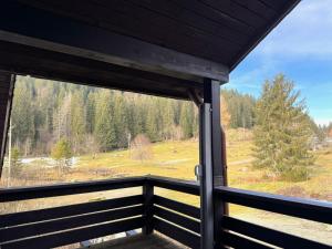 une fenêtre dans une cabane donnant sur un champ dans l'établissement Gästehaus Seewald- Ferienwohnung 6 "Fichte", Schluchsee, Blasiwald, à Schluchsee 21 autres photos