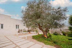 Zahrada ubytování Apulian Charme Trulli and Cottage