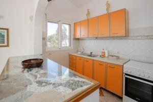 Kuchyň nebo kuchyňský kout v ubytování Aleksandra Apartments Utjeha