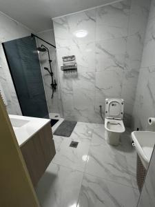 a bathroom with a toilet and a sink and a shower at Apartman Crljenko in Lič