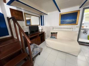 Una sala de estar con un sofá y un televisor. en Portofino - "La Casa della Nicco" - Liguria Holidays, en Portofino