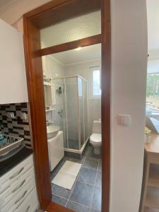 ein Badezimmer mit Dusche, Toilette und Waschbecken in der Unterkunft Apartmani Krčmarica 10 in Divčibare