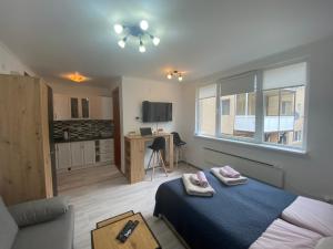 Kuchyň nebo kuchyňský kout v ubytování Apartmani Krčmarica 10
