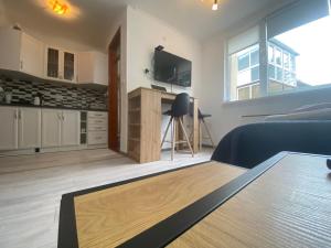 TV a/nebo společenská místnost v ubytování Apartmani Krčmarica 10