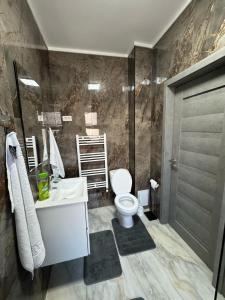 a bathroom with a toilet and a sink and a mirror at Sea Breeze Residence 2 in Mamaia Nord