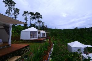 Foto dalla galleria di Alam Munduk Glamping a Munduk Altre 49 foto