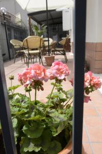 Vonkajšia záhrada v ubytovaní B&B San Leonardo