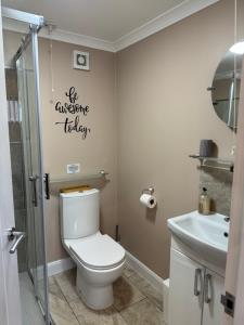 a bathroom with a toilet and a sink at Christmas Cottage in Doveridge +8 photos