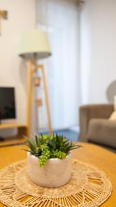 a potted plant sitting on top of a table at Les Sablettes in Menton