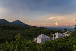 Foto dalla galleria di Alam Munduk Glamping a Munduk