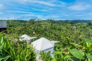 Foto dalla galleria di Alam Munduk Glamping a Munduk