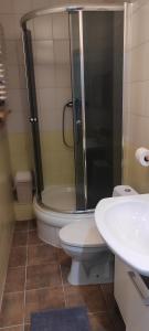 ein Badezimmer mit Dusche, Toilette und Waschbecken in der Unterkunft Gospoda w Starym Młynie in Jugowice
