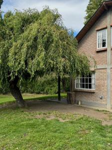 a large tree in front of a house at Casa de Mimbres in El Calafate +11 photos