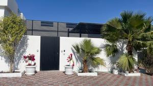 a white building with palm trees in front of it at July Chalet with Heated Pool in Nizwa