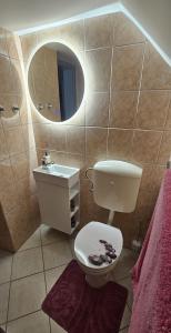 a bathroom with a toilet and a sink and a mirror at Hiša JAVORNIK BOHINJ in Bohinj