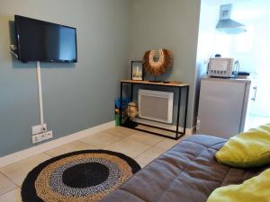 un salon avec un canapé et une télévision à écran plat dans l'établissement Dauphin Saint Gilles Croix de Vie, à Les Bussolleries