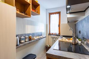 a kitchen with a counter and a sink at Montagne E Coccole - Happy Rentals in Pré-Saint-Didier +15 photos