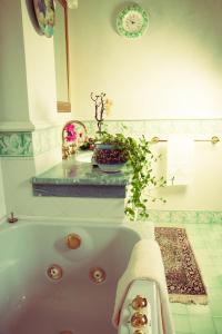 a bathroom with a bath tub with a plant in it at Ai Quattro Ulivi B&B in Monte Urano