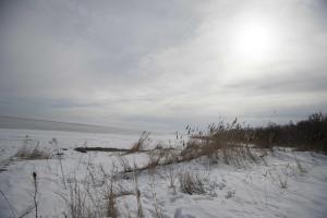 a snow covered field with grass and a body of water at Eisenbahnerhaus Klausdorf in Klausdorf Mecklenburg Vorpommern