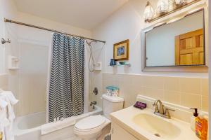 a bathroom with a sink and a toilet and a shower at MI Blue Mallard in Suttons Bay +23 photos