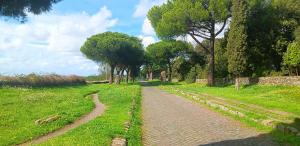 a dirt road in a field with trees at Appia Antica Room in Marino