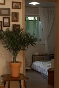 eine Topfpflanze auf einem Tisch in einem Schlafzimmer in der Unterkunft Hommie Ground Seonyudo in Seoul