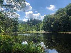 Blick auf einen See mit Bäumen und Wolken in der Unterkunft Ferienwohnung Landblick in Pirmasens