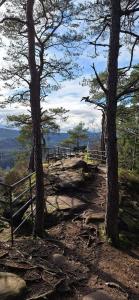 a dirt trail with trees and a fence at Ferienwohnung Landblick in Pirmasens