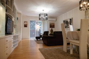 TV a/nebo společenská místnost v ubytování Apartman Vuk