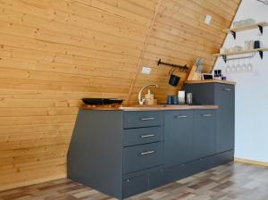 a kitchen with gray cabinets and a wooden wall at Cabana Teo&Matei in Mihăeşti