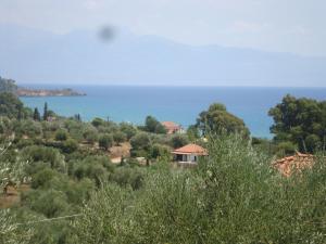 Fotografie z fotogalerie ubytování Villa Carisma v destinaci Livadhákia