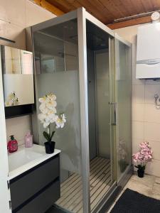 un bagno con doccia e lavandino di Gemütliche Stadtwohnung Kapfenberg - Gratis Parken a Kapfenberg