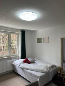 una camera da letto con un grande letto bianco e una finestra di Gemütliche Stadtwohnung Kapfenberg - Gratis Parken a Kapfenberg
