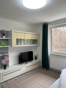 卡普芬贝格Gemütliche Stadtwohnung Kapfenberg - Gratis Parken的客厅墙上有一台平板电视