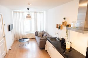 Una cocina y una sala de estar con un sofá y un fregadero. en Canal View Apartment, en Ámsterdam