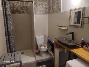 een badkamer met toilet en wastafel bij Eclat du soleil levant in Sainte-Anne