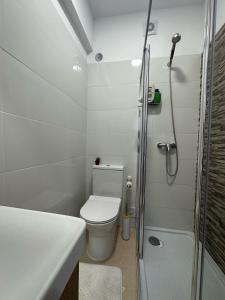 a bathroom with a toilet and a shower at Hostel Nosso Lar in Odivelas