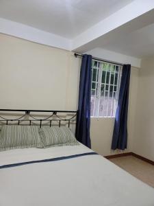 a bedroom with a bed and a window with blue curtains at Peppy's Palace in Roseau