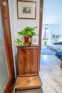 a plant on top of a wooden cabinet in a room at Da Luigi Pio in Florence