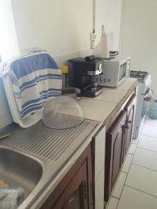 a kitchen counter with a sink and a microwave at Hameau de Soissons in Billy-sur-Aisne