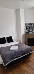 a bedroom with a bed and a fireplace at Chez Nathan appartement 2 chambres in Auxerre